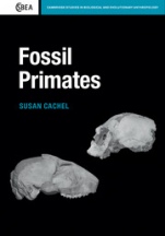 Fossil Primates - ISBN 9780521183024