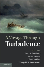 A Voyage Through Turbulence - ISBN 9780521198684