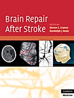 Brain Repair After Stroke - ISBN 9780521515337