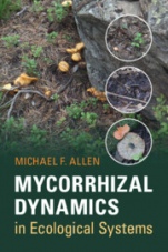 Mycorrhizal Dynamics in Ecological Systems - ISBN 9780521539104