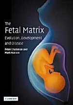 The Fetal Matrix: Evolution, Development and Disease - ISBN 9780521542357