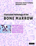 Illustrated Pathology of the Bone Marrow - ISBN 9780521810036