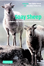 Soay Sheep - ISBN 9780521823005