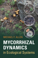 Mycorrhizal Dynamics in Ecological Systems - ISBN 9780521831499