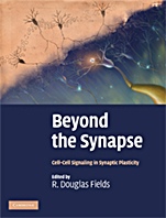 Beyond the Synapse - ISBN 9780521869140