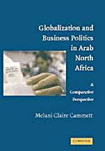 Globalization and Business Politics in Arab North Africa - ISBN 9780521869508