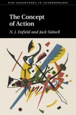 The Concept of Action - ISBN 9780521895286
