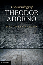 The Sociology of Theodor Adorno - ISBN 9781107000094