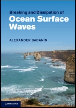 Breaking and Dissipation of Ocean Surface Waves - ISBN 9781107001589