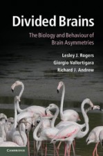 Divided Brains - ISBN 9781107005358