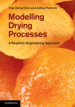 Modelling Drying Processes - ISBN 9781107012103