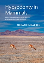 Hypsodonty in Mammals - ISBN 9781107012936