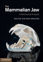 The Mammalian Jaw - ISBN 9781107016224
