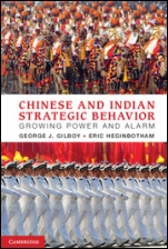 Chinese and Indian Strategic Behavior - ISBN 9781107020054