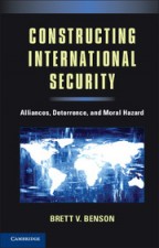 Constructing International Security - ISBN 9781107027244