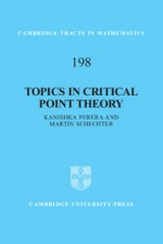 Topics in Critical Point Theory - ISBN 9781107029668