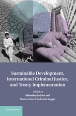 Sustainable Development, International Criminal Justice, and Treaty Implementation - ISBN 9781107032934