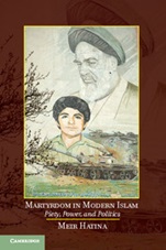 Martyrdom in Modern Islam - ISBN 9781107063075