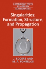 Singularities: Formation, Structure, and Propagation - ISBN 9781107098411