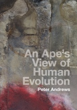 An Apes View of Human Evolution - ISBN 9781107100671
