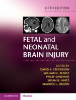 Fetal and Neonatal Brain Injury - ISBN 9781107110809