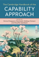 The Cambridge Handbook of the Capability Approach - ISBN 9781107115286