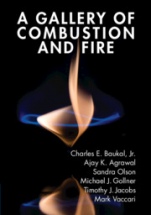 A Gallery of Combustion and Fire - ISBN 9781107154971