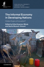 The Informal Economy in Developing Nations - ISBN 9781107157545