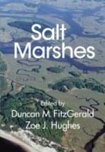 Salt Marshes - ISBN 9781107186286
