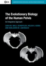 The Evolutionary Biology of the Human Pelvis - ISBN 9781107199576