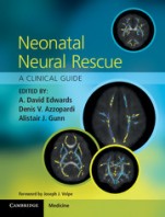 Neonatal Neural Rescue - ISBN 9781107681606