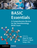 BASIC Essentials - ISBN 9781108402613