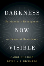 Darkness Now Visible - ISBN 9781108470650
