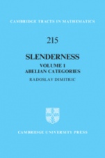 Slenderness - ISBN 9781108474429