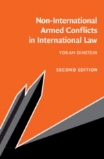 Non-International Armed Conflicts in International Law - ISBN 9781108799447