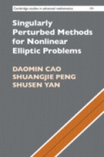 Singularly Perturbed Methods for Nonlinear Elliptic Problems - ISBN 9781108836838
