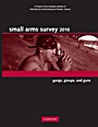 Small Arms Survey 2010 - ISBN 9780521197113