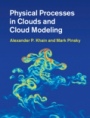 Physical Processes in Clouds and Cloud Modeling - ISBN 9780521767439