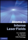 Atoms in Intense Laser Fields - ISBN 9780521793018