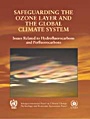 Safeguarding the Ozone Layer and the Global Climate System - ISBN 9780521863360