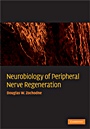 Neurobiology of Peripheral Nerve Regeneration - ISBN 9780521867177