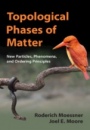 Topological Phases of Matter - ISBN 9781107105539