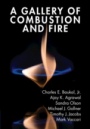 A Gallery of Combustion and Fire - ISBN 9781107154971