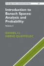 Introduction to Banach Spaces: Analysis and Probability - ISBN 9781107162624
