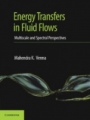 Energy Transfers in Fluid Flows - ISBN 9781107176195