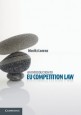 An Introduction to EU Competition Law - ISBN 9781107672611