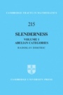 Slenderness - ISBN 9781108474429