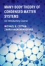 Many-Body Theory of Condensed Matter Systems - ISBN 9781108488242