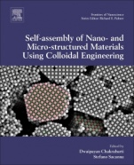 Computational Modelling of Nanoparticles - ISBN 9780081022320