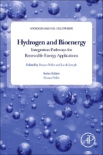 Hydrogen, Biomass and Bioenergy: Integration Pathways for Renewable Energy Applications - ISBN 9780081026298